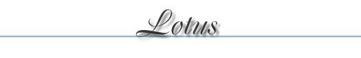 Pewter Lotus